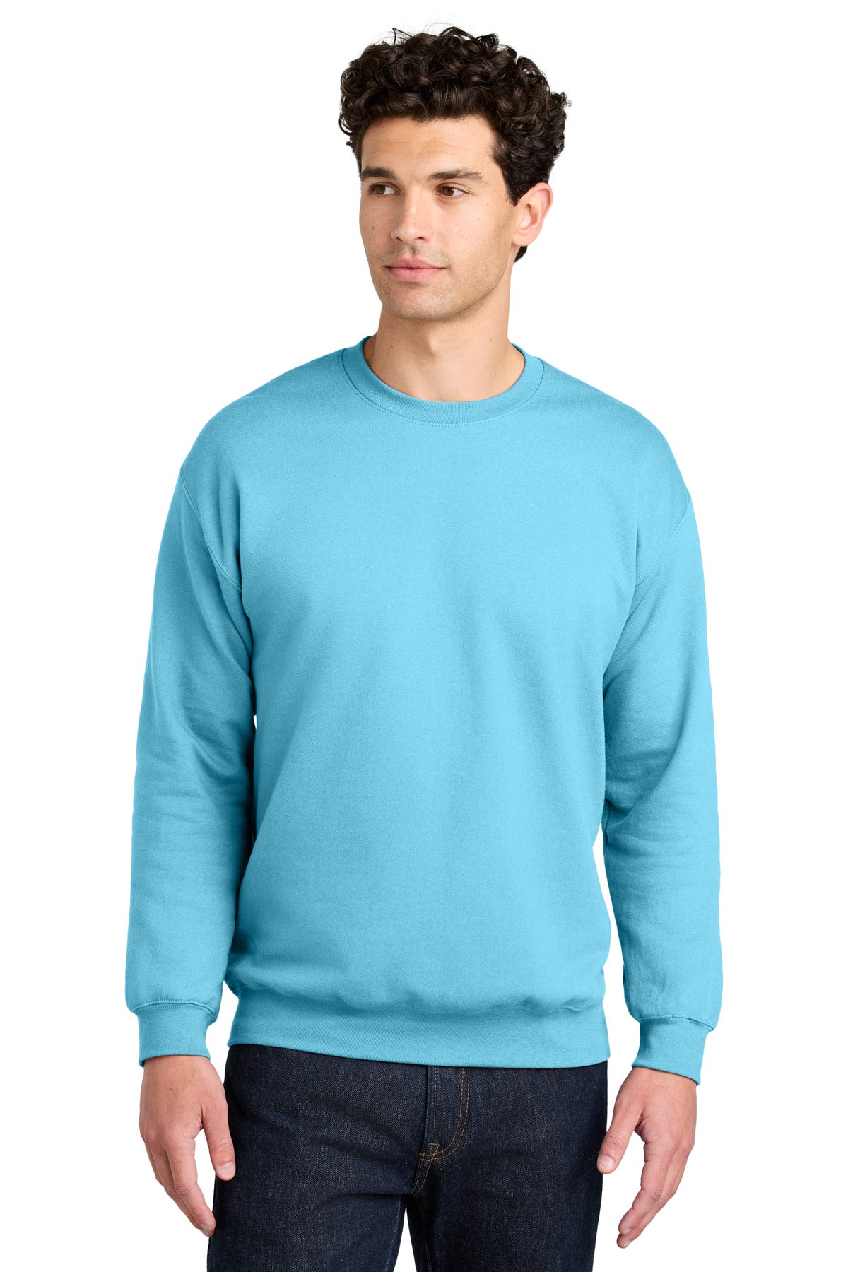 Gildan Softstyle Crewneck Sweatshirt SF000 in Sky